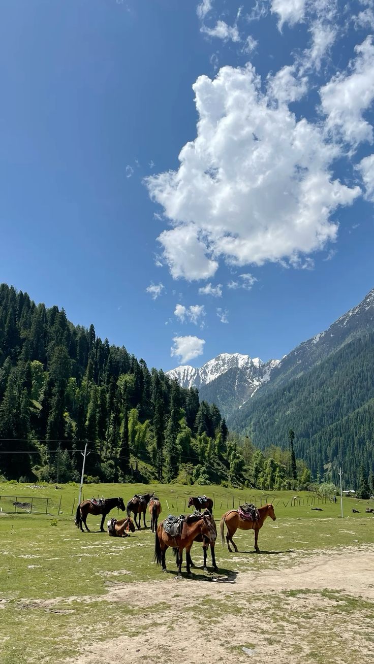 Day 3 – Srinagar to Pahalgam